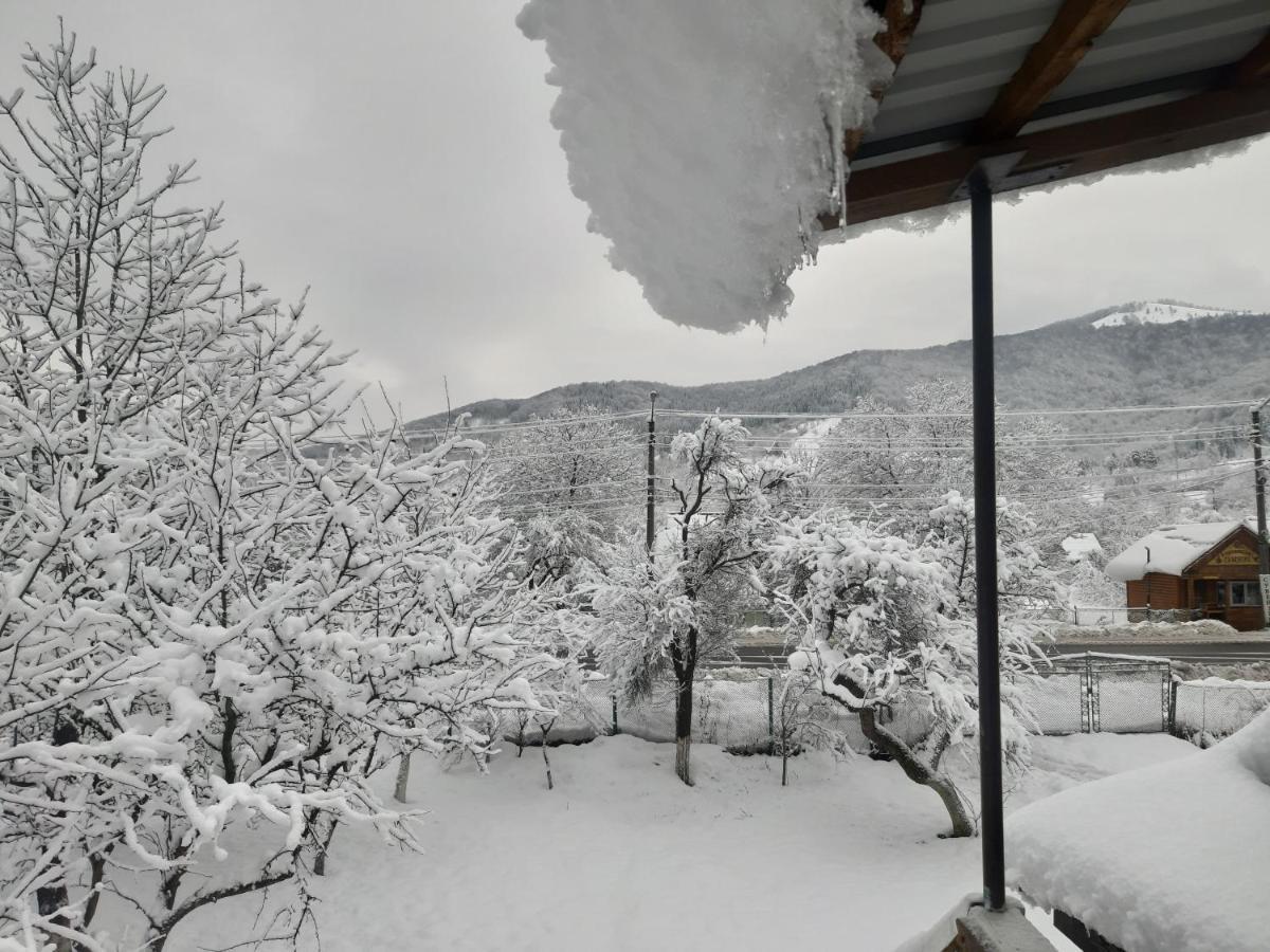 Barlig Apartment Yaremche Bagian luar foto
