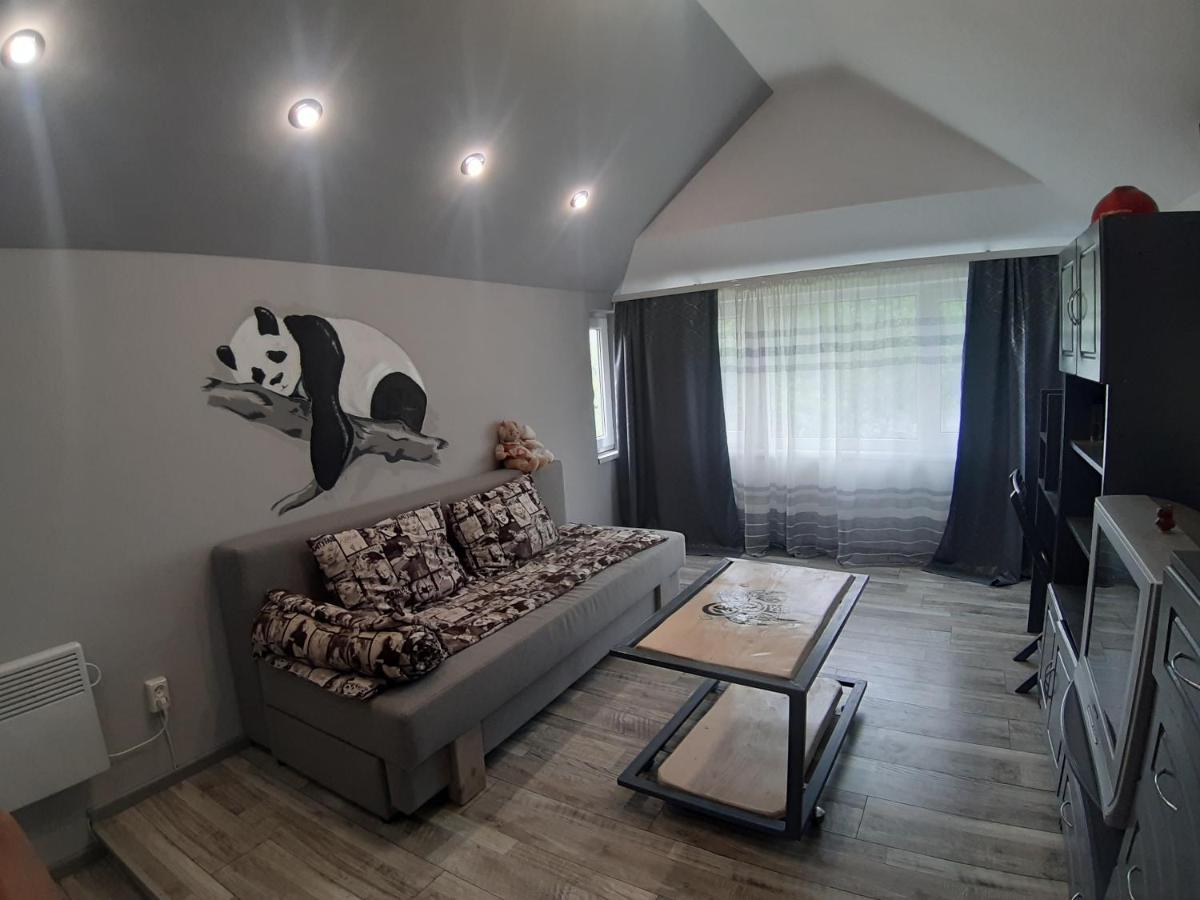 Barlig Apartment Yaremche Bagian luar foto